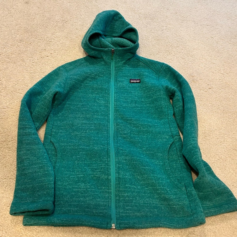 Patagonia Teal Fleece Jacket
